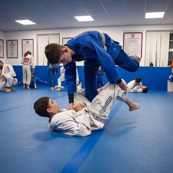 brazilian jiu jitsu tieners